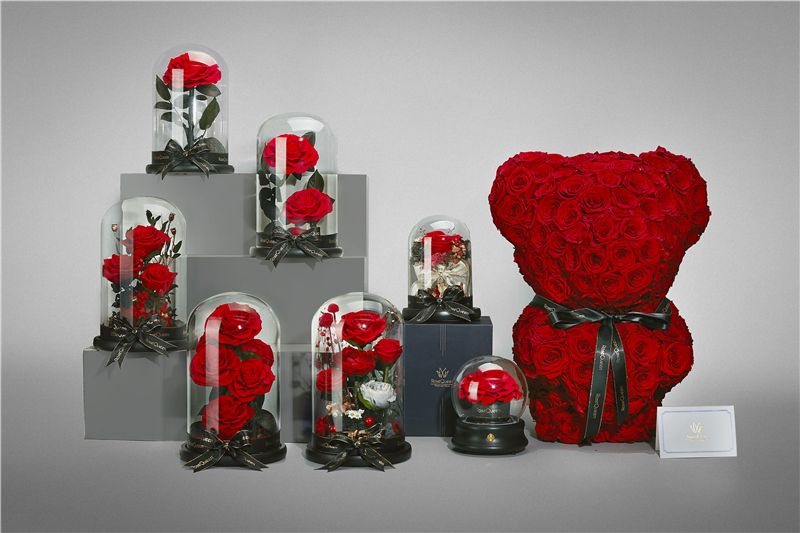 聚焦知识产权运营 助推万融集团永生花产业高质量发展